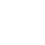 Premium styling icon
